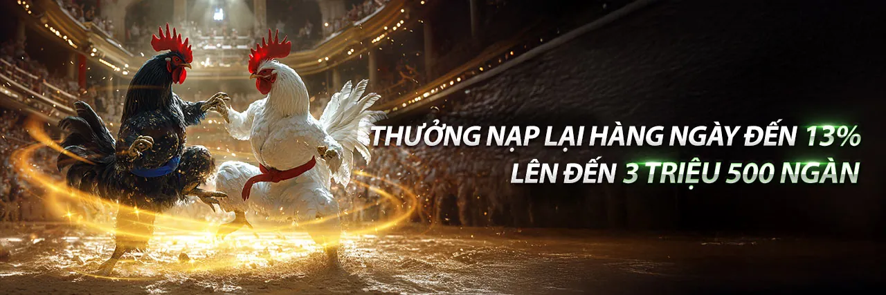 Đá gà bay789 - Sảnh chọi gà trực tuyến chuyên nghiệp