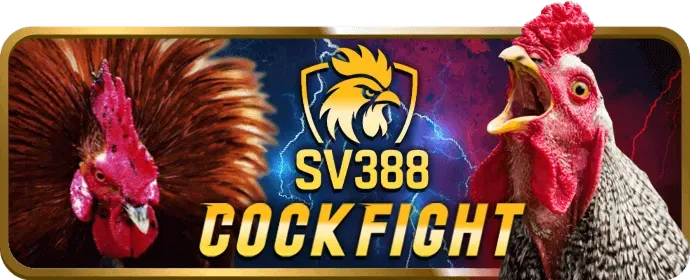 Môi trường chơi game an toàn tại Bay789